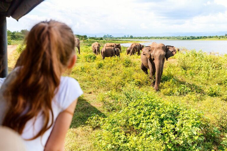 Wilpattu National Park